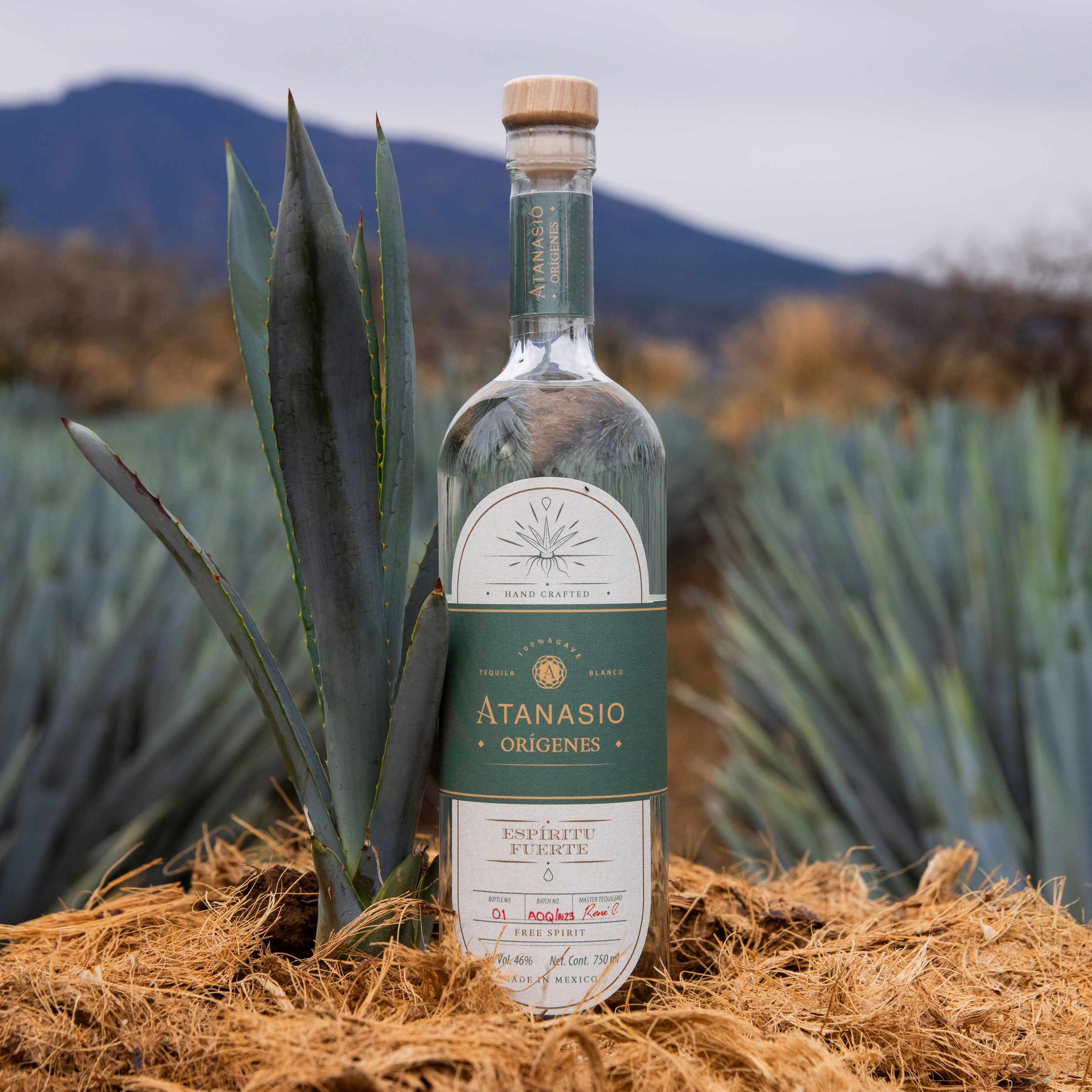 Tequila Atanasio, Orígenes Espíritu Fuerte 46% ABV