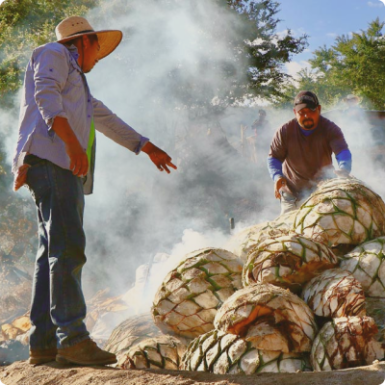 Mezcal der Ahnen