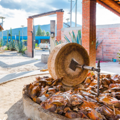 Artisanal Mezcal (handwerklich hergestellter Mezcal)