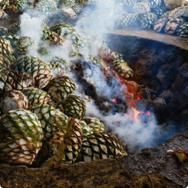 Kochen für Mezcal