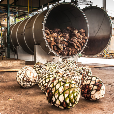 Mezcal