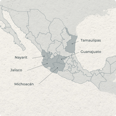 Die Norma Oficial Mexicana (NOM)