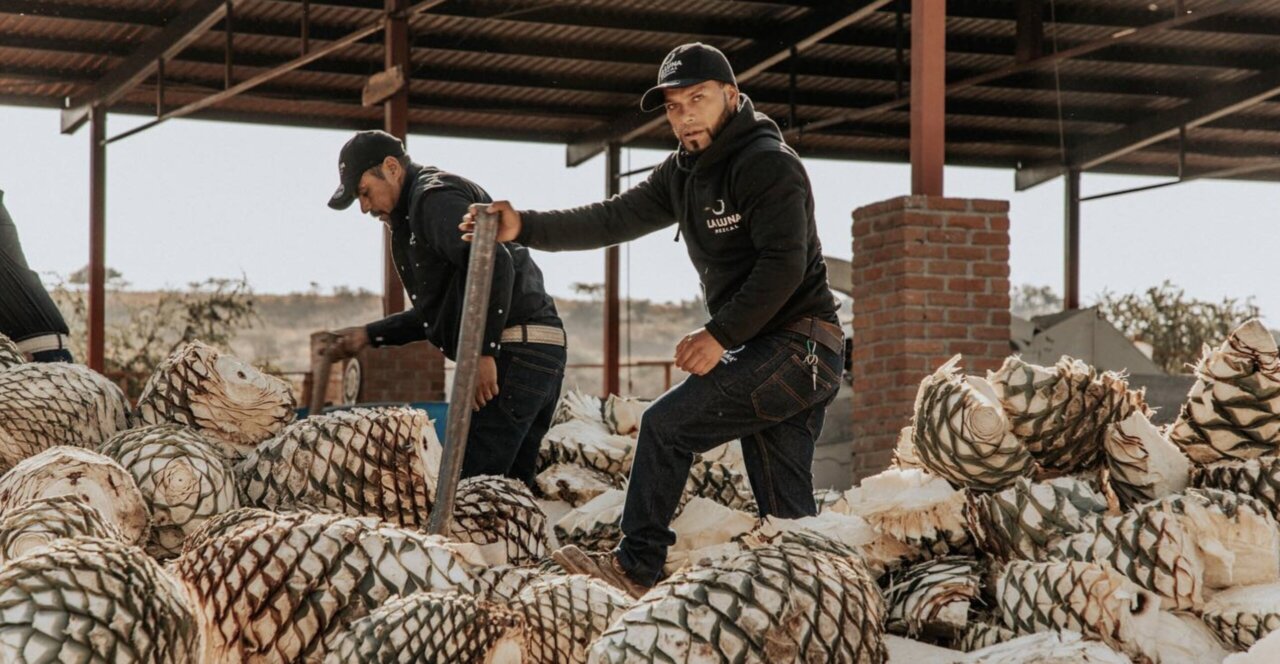 Mezcalieros: Værdighedsbevarere af Mezcals Mystik og Tradition