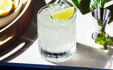 Crafting the Perfect Margarita: Discovering the Best Tequila for the Job
