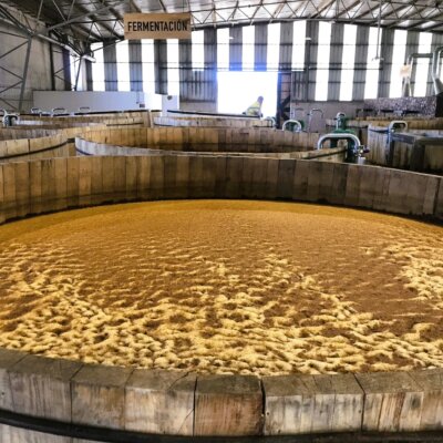 Fermentation